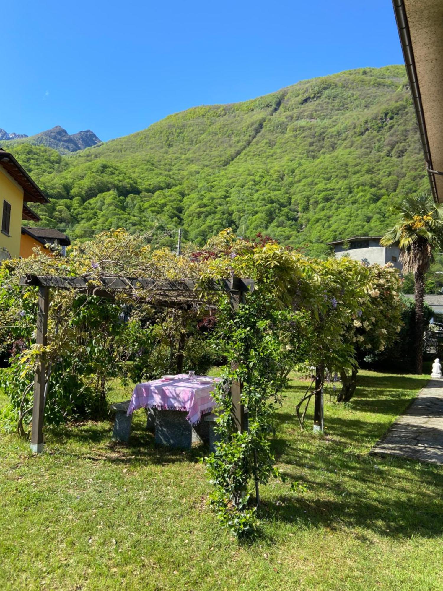 Villa Ca' Dei Paoli à Pieve Vergonte Extérieur photo